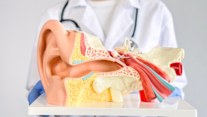 What Is an ENT Doctor, and How Can One Help You?